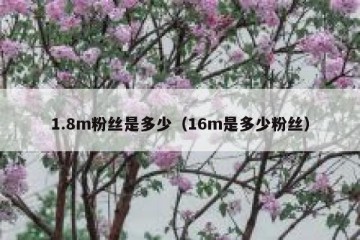 1.8m粉丝是多少（16m是多少粉丝）