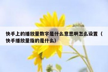 快手上的播放量数字是什么意思啊怎么设置（快手播放量指的是什么）