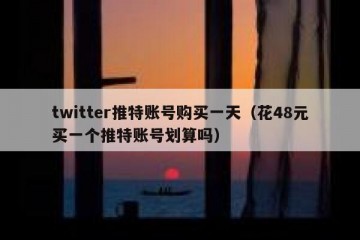 twitter推特账号购买一天（花48元买一个推特账号划算吗）
