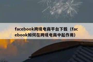 facebook跨境电商平台下载（facebook如何在跨境电商中起作用）
