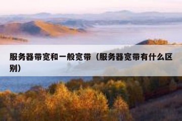 服务器带宽和一般宽带（服务器宽带有什么区别）
