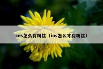 ins怎么有粉丝（ins怎么才有粉丝）