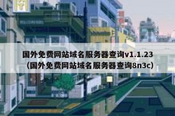 国外免费网站域名服务器查询v1.1.23（国外免费网站域名服务器查询8n3c）