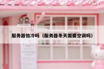 服务器怕冷吗（服务器冬天需要空调吗）