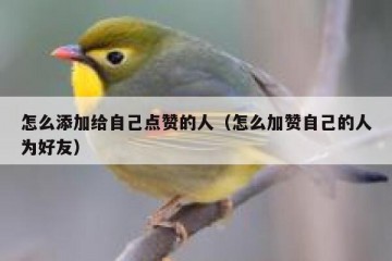怎么添加给自己点赞的人（怎么加赞自己的人为好友）