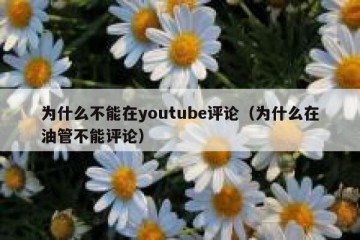 为什么不能在youtube评论（为什么在油管不能评论）