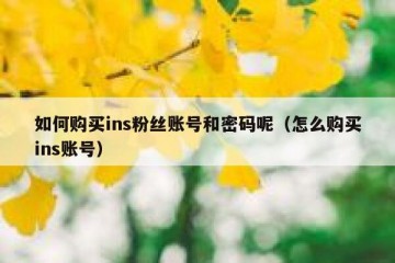如何购买ins粉丝账号和密码呢（怎么购买ins账号）