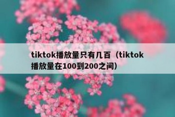 tiktok播放量只有几百（tiktok播放量在100到200之间）