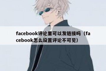 facebook评论里可以发链接吗（facebook怎么设置评论不可见）