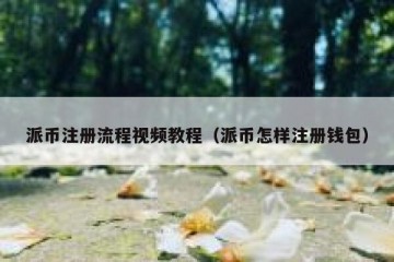 派币注册流程视频教程（派币怎样注册钱包）