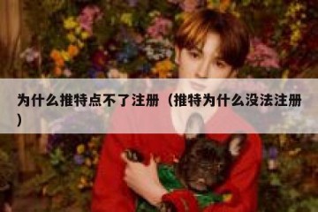 为什么推特点不了注册（推特为什么没法注册）