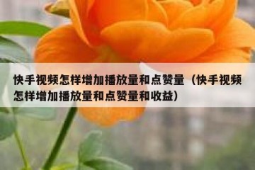 快手视频怎样增加播放量和点赞量（快手视频怎样增加播放量和点赞量和收益）