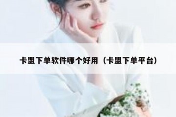 卡盟下单软件哪个好用（卡盟下单平台）