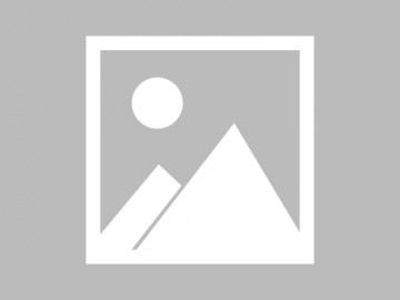 全国限号查询系统山东（济南车辆限号查询系统）