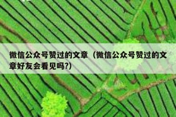 微信公众号赞过的文章（微信公众号赞过的文章好友会看见吗?）