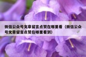 微信公众号文章留言点赞在哪里看（微信公众号文章留言点赞在哪里看到）