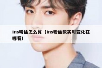 ins粉丝怎么算（ins粉丝数实时变化在哪看）