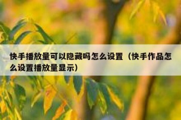 快手播放量可以隐藏吗怎么设置（快手作品怎么设置播放量显示）