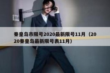 秦皇岛市限号2020最新限号11月（2020秦皇岛最新限号表11月）