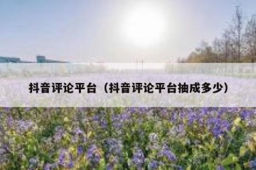 抖音评论平台（抖音评论平台抽成多少）