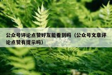公众号评论点赞好友能看到吗（公众号文章评论点赞有提示吗）