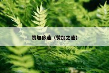 赞加移速（赞加之速）