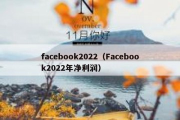 facebook2022（Facebook2022年净利润）