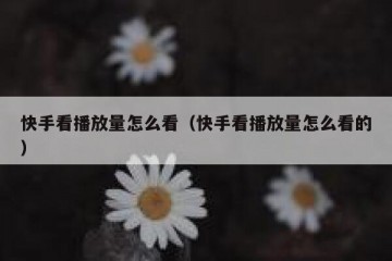 快手看播放量怎么看（快手看播放量怎么看的）