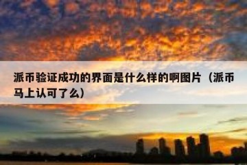 派币验证成功的界面是什么样的啊图片（派币马上认可了么）