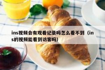 ins视频会有观看记录吗怎么看不到（ins的视频能看到访客吗）