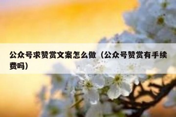公众号求赞赏文案怎么做（公众号赞赏有手续费吗）