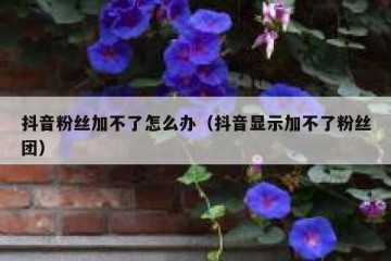 抖音粉丝加不了怎么办（抖音显示加不了粉丝团）