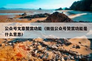 公众号文章赞赏功能（微信公众号赞赏功能是什么意思）