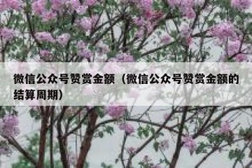 微信公众号赞赏金额（微信公众号赞赏金额的结算周期）