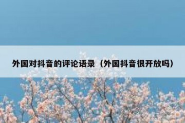 外国对抖音的评论语录（外国抖音很开放吗）