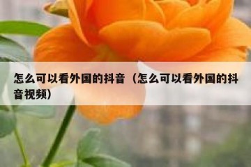 怎么可以看外国的抖音（怎么可以看外国的抖音视频）