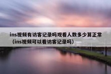 ins视频有访客记录吗观看人数多少算正常（ins视频可以看访客记录吗）