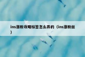 ins涨粉攻略标签怎么弄的（ins涨粉丝）