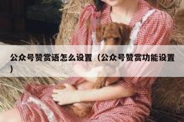 公众号赞赏语怎么设置（公众号赞赏功能设置）