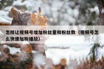 怎样让视频号增加粉丝量和粉丝数（视频号怎么快速加粉播放）