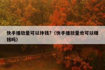快手播放量可以挣钱?（快手播放量也可以赚钱吗）