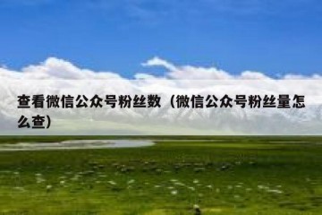 查看微信公众号粉丝数（微信公众号粉丝量怎么查）