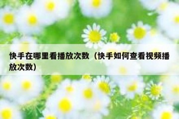 快手在哪里看播放次数（快手如何查看视频播放次数）