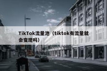 TikTok流量池（tiktok有流量就会变现吗）