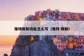 推特限制功能怎么写（推特 限制）