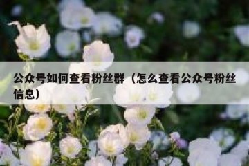 公众号如何查看粉丝群（怎么查看公众号粉丝信息）