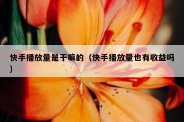快手播放量是干嘛的（快手播放量也有收益吗）