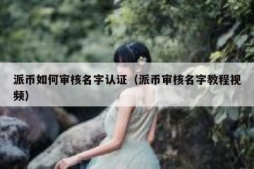 派币如何审核名字认证（派币审核名字教程视频）