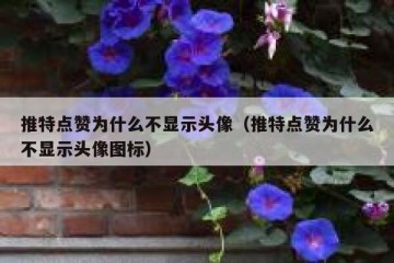 推特点赞为什么不显示头像（推特点赞为什么不显示头像图标）