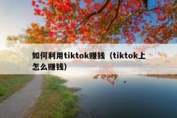 如何利用tiktok赚钱（tiktok上怎么赚钱）